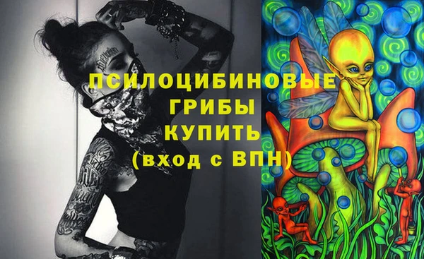 спайс Арсеньев